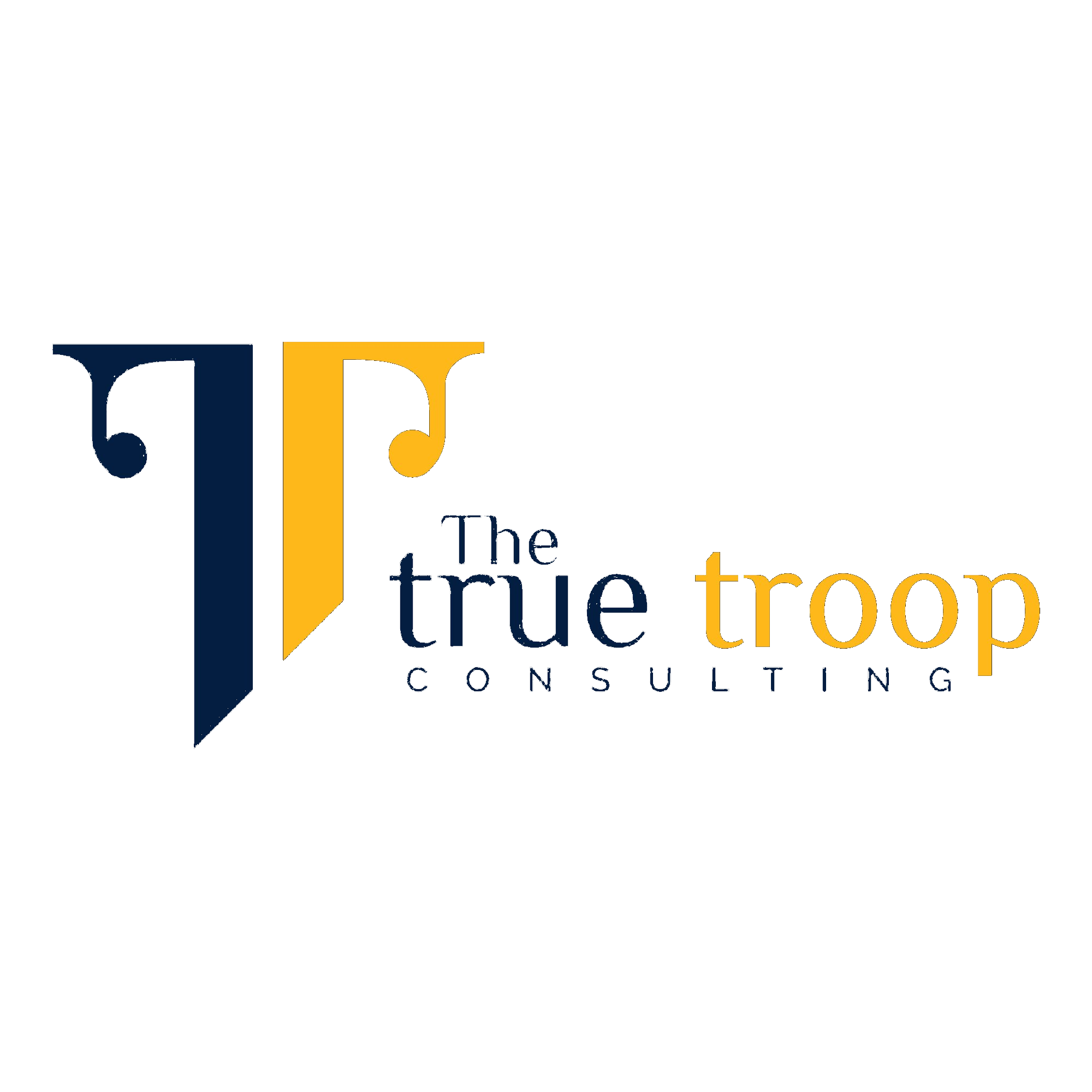 The True Troop Consulting